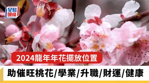 桃花擺放位置|【桃花樹風水】桃花樹風水：古代風水禁忌與現代居家桃花指南